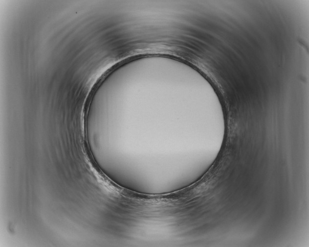 X0000099520988200806051207