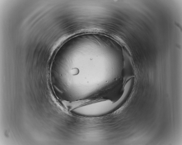 X0000099520989200806051207