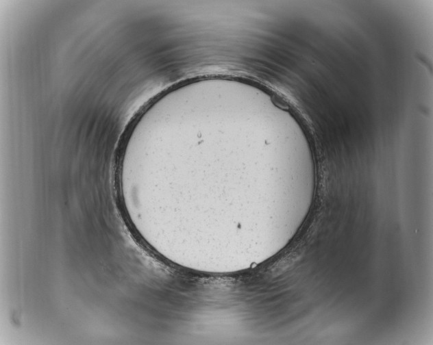 X0000099520991200806051207