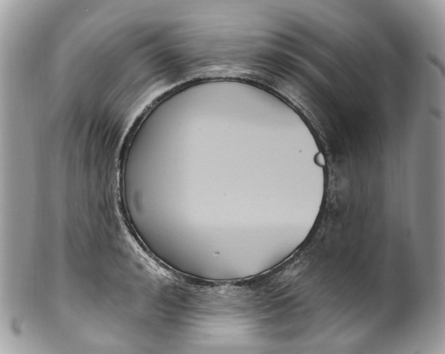 X0000099520992200806051207