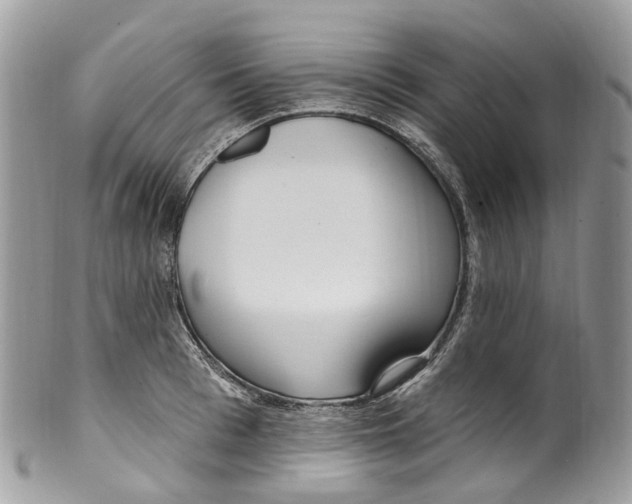 X0000099520993200806051207