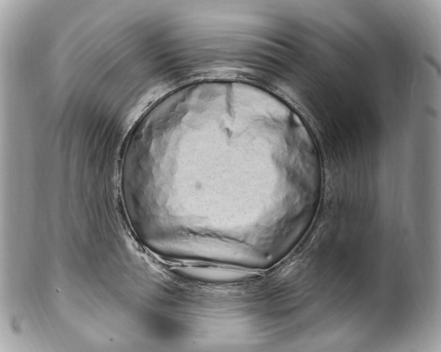 X0000099520994200806051207