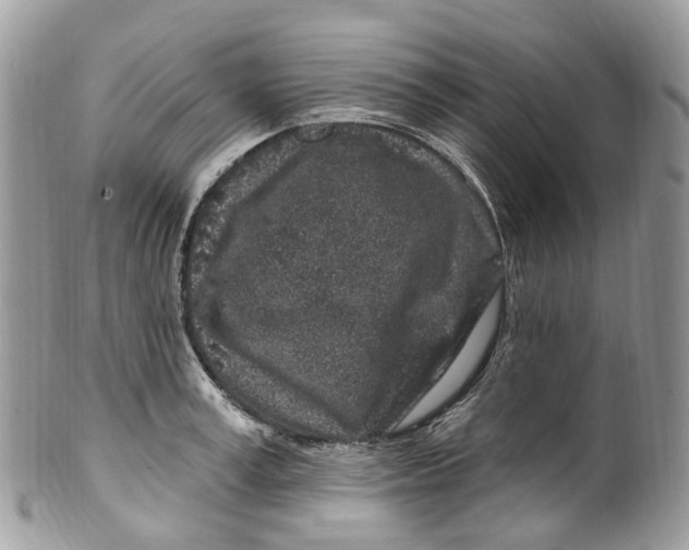 X0000099520995200806051207