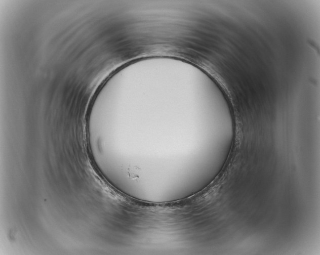 X0000099520996200806051206