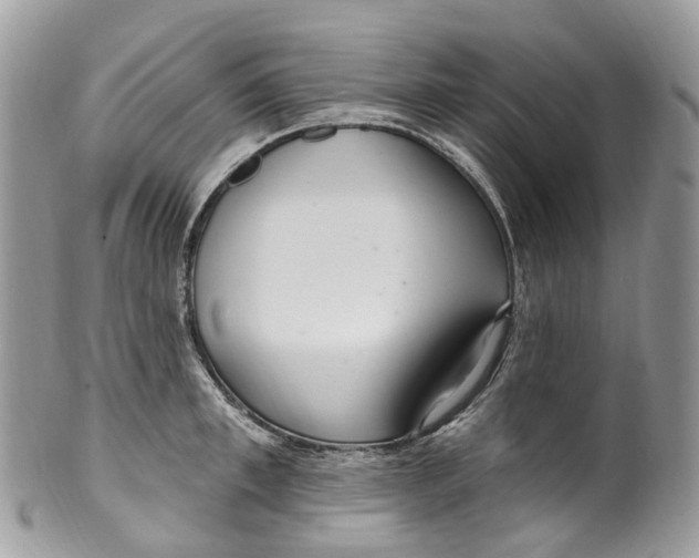 X0000099520997200806051206