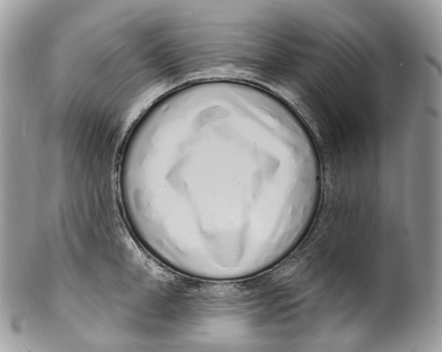 X0000099520998200806051206