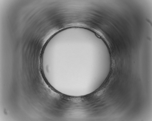 X0000099520999200806051206