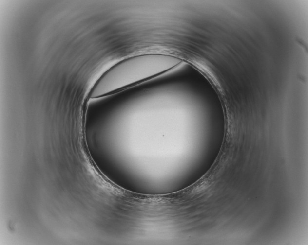 X0000099521000200806051206