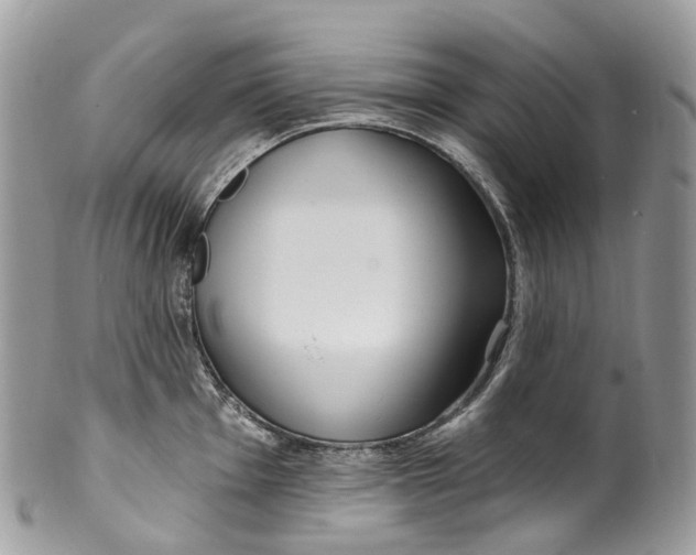 X0000099521001200806051206