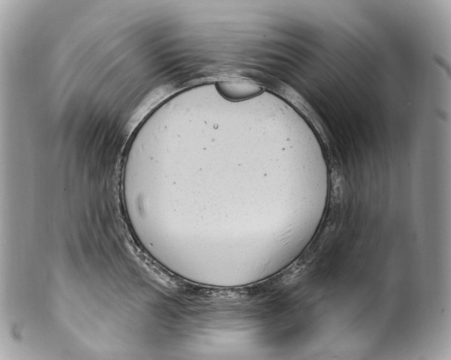 X0000099521002200806051206