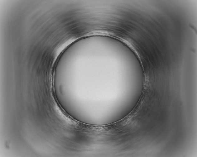 X0000099521003200806051206