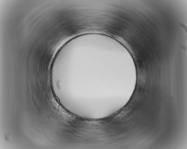 X0000099521004200806051206