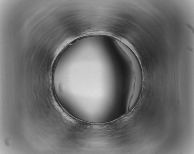 X0000099521005200806051206