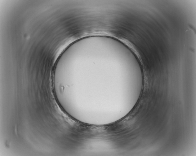 X0000099521006200806051206