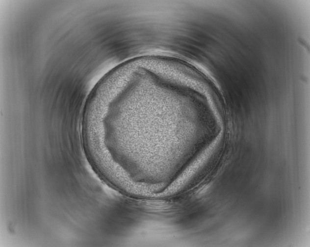 X0000099521007200806051206