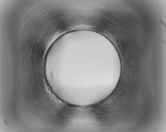 X0000099521008200806051206