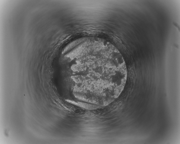 X0000099521009200806051205