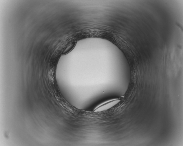 X0000099521010200806051206