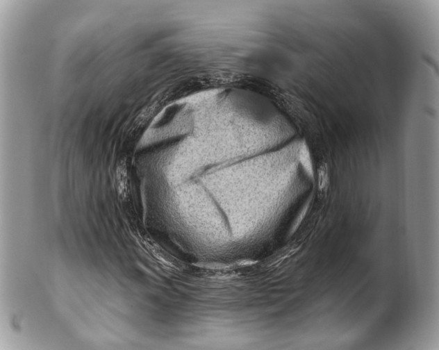 X0000099521011200806051206