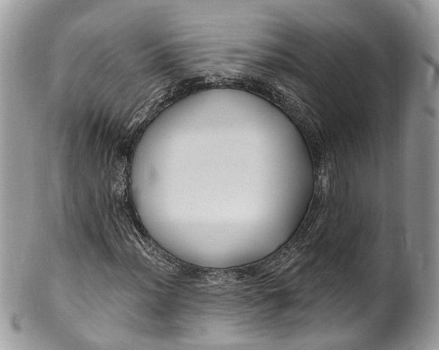 X0000099521012200806051206