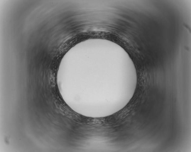 X0000099521013200806051206