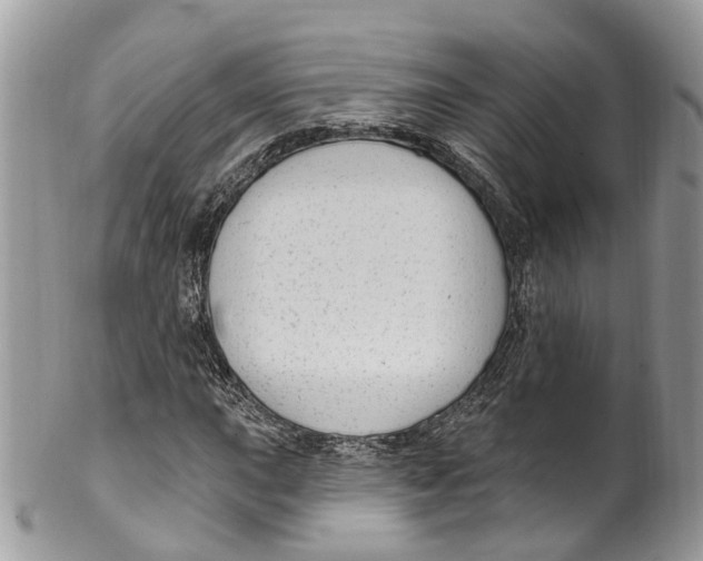 X0000099521015200806051206