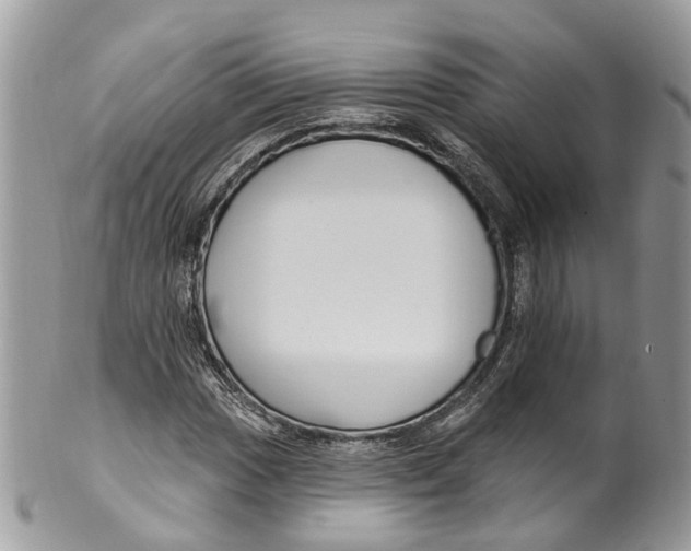 X0000099521017200806051206