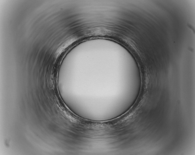 X0000099521018200806051206