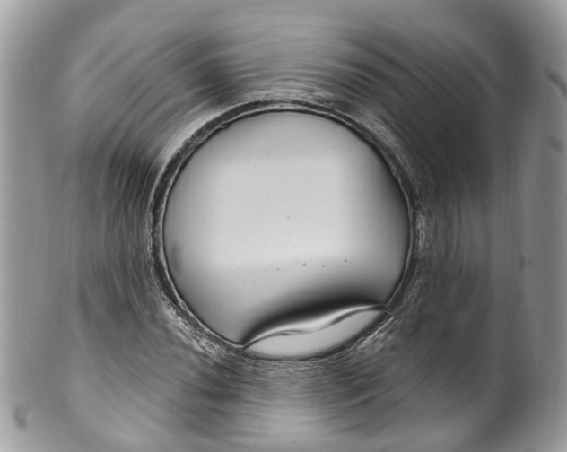 X0000099521020200806051206