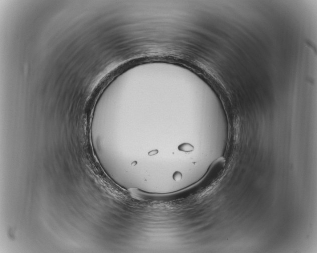 X0000099521021200806051206