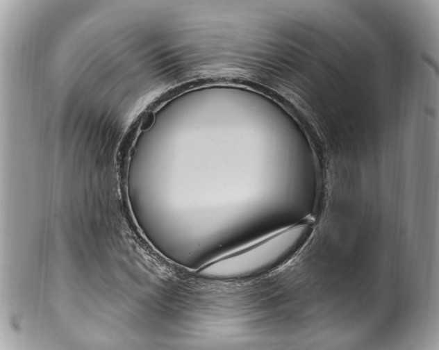 X0000099521022200806051206