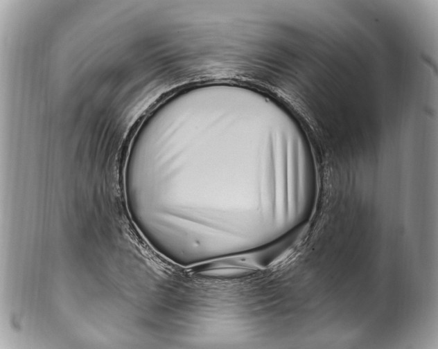 X0000099521023200806051206