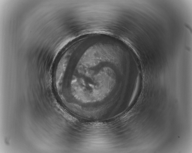 X0000099521024200806051206