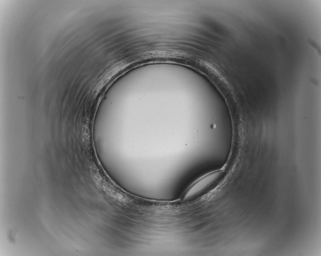 X0000099521025200806051206