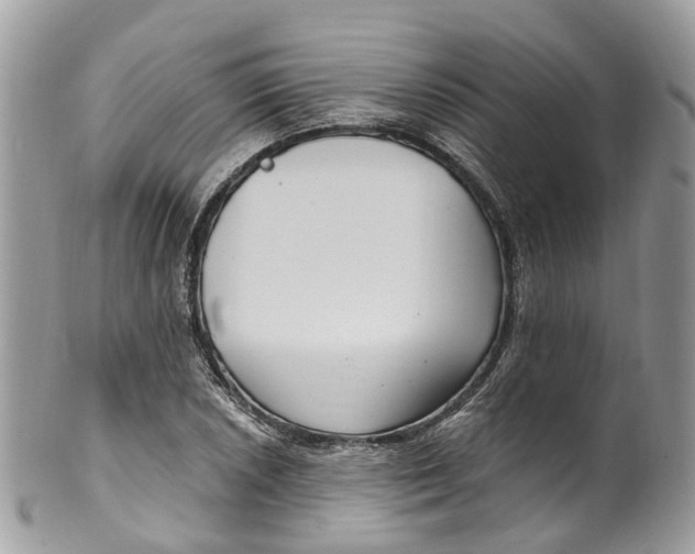 X0000099521026200806051206