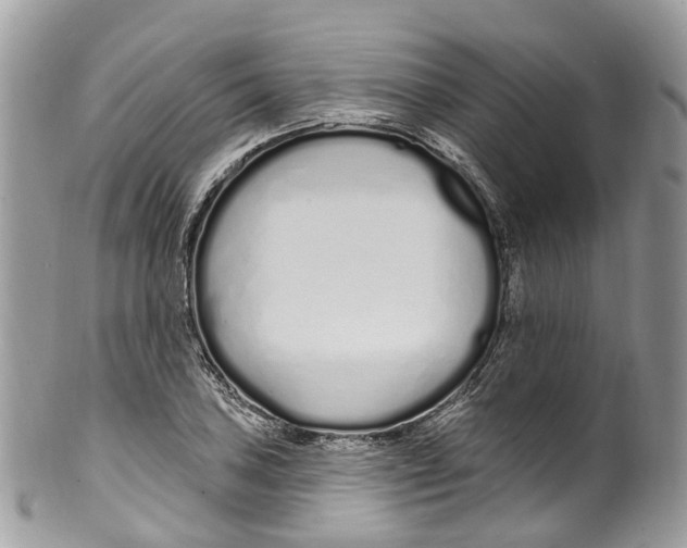 X0000099521027200806051206