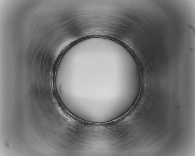 X0000099521030200806051206