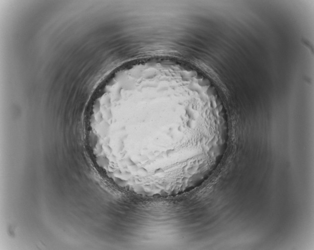 X0000099521031200806051206