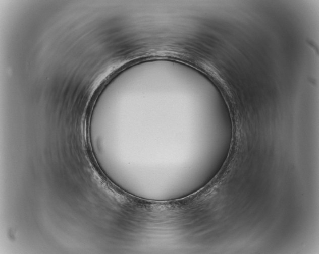 X0000099521032200806051206