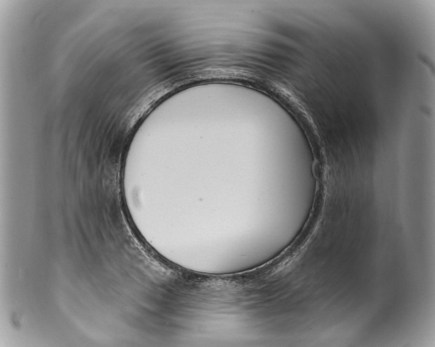 X0000099521033200806051206