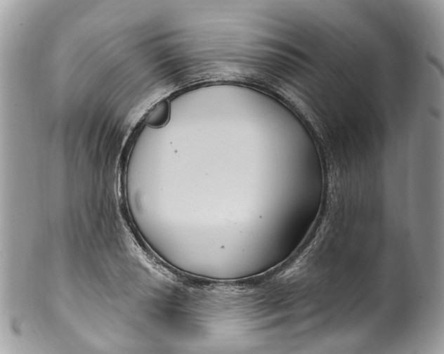 X0000099521034200806051206