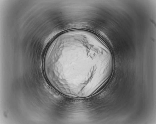 X0000099521035200806051206