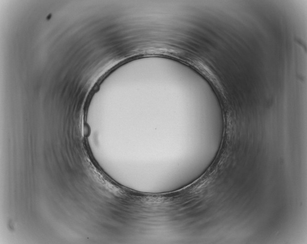 X0000099521036200806051206