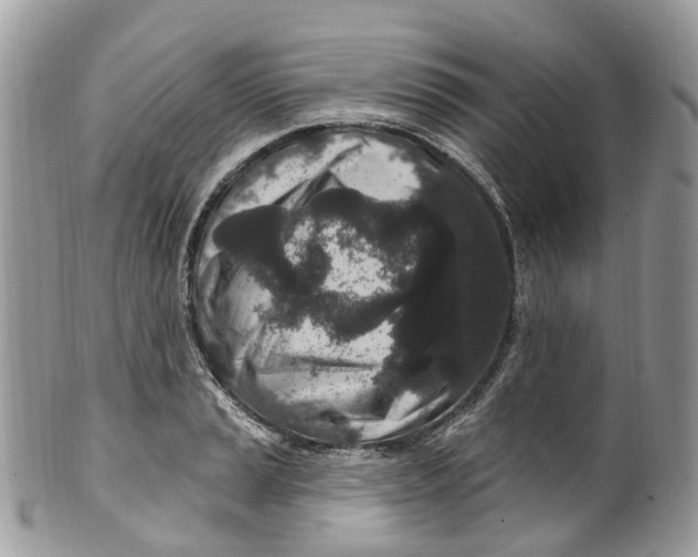 X0000099521037200806051206