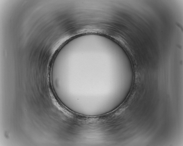 X0000099521038200806051206