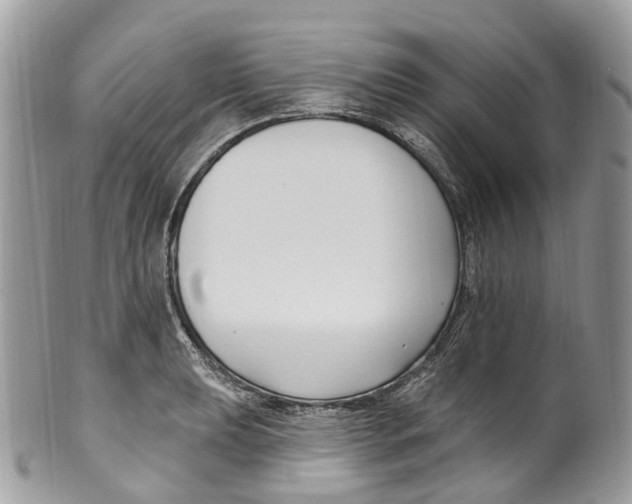 X0000099521039200806051206