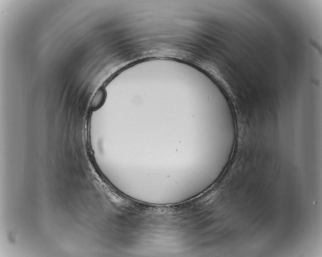 X0000099521040200806051206