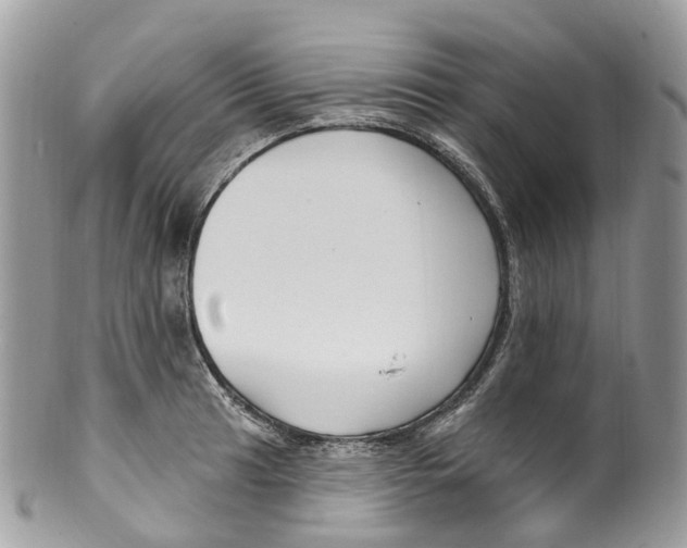 X0000099521041200806051206