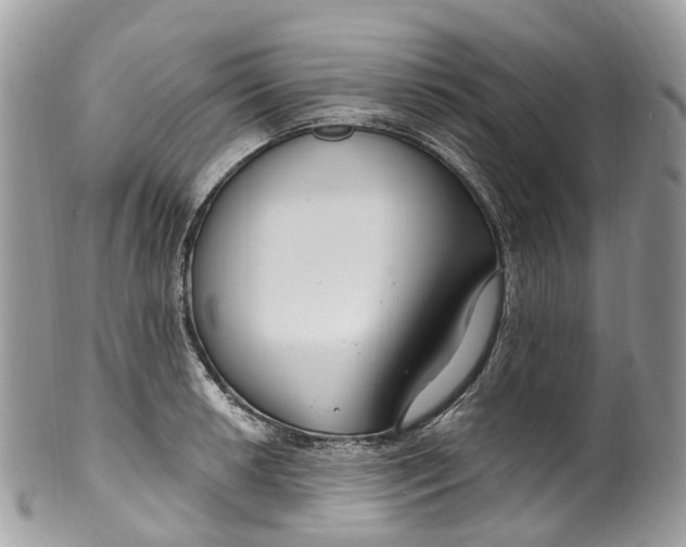 X0000099521042200806051206