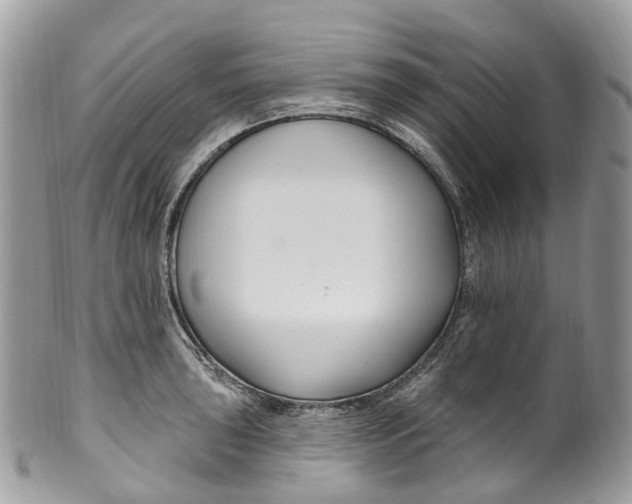 X0000099521043200806051206